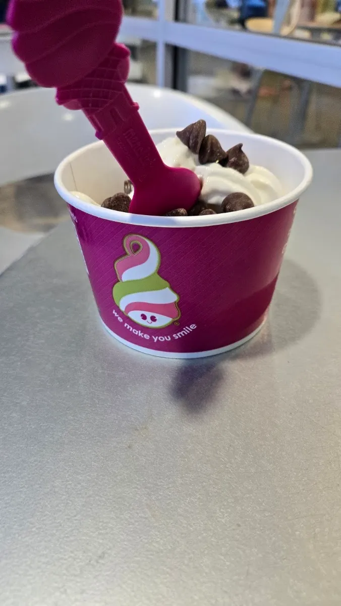 Menchie's Frozen Yogurt — photo 4