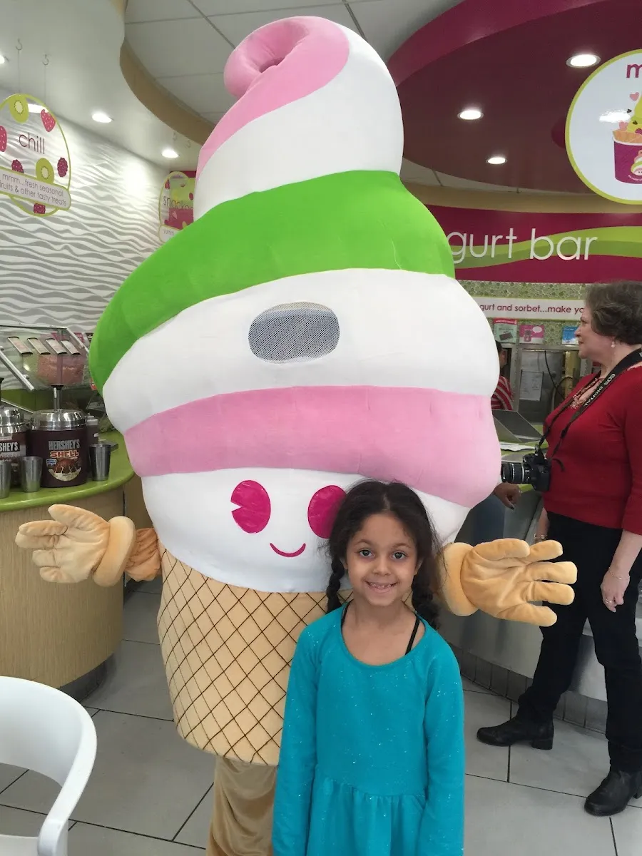 Menchie's Frozen Yogurt — photo 6