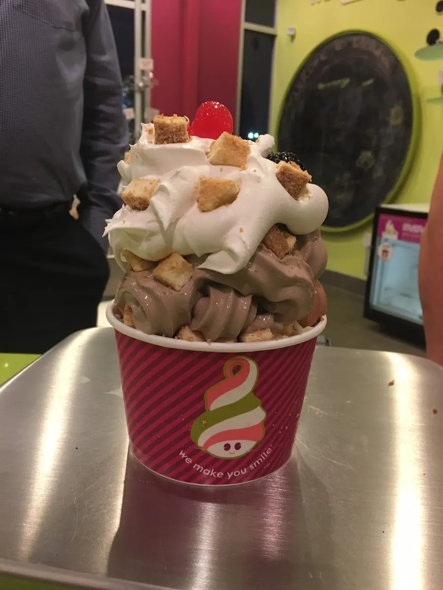 Menchie's Frozen Yogurt (Clear Lake) — photo 6