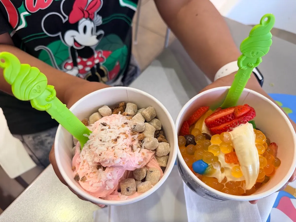 Menchie's Frozen Yogurt (Friendswood) — foto 7