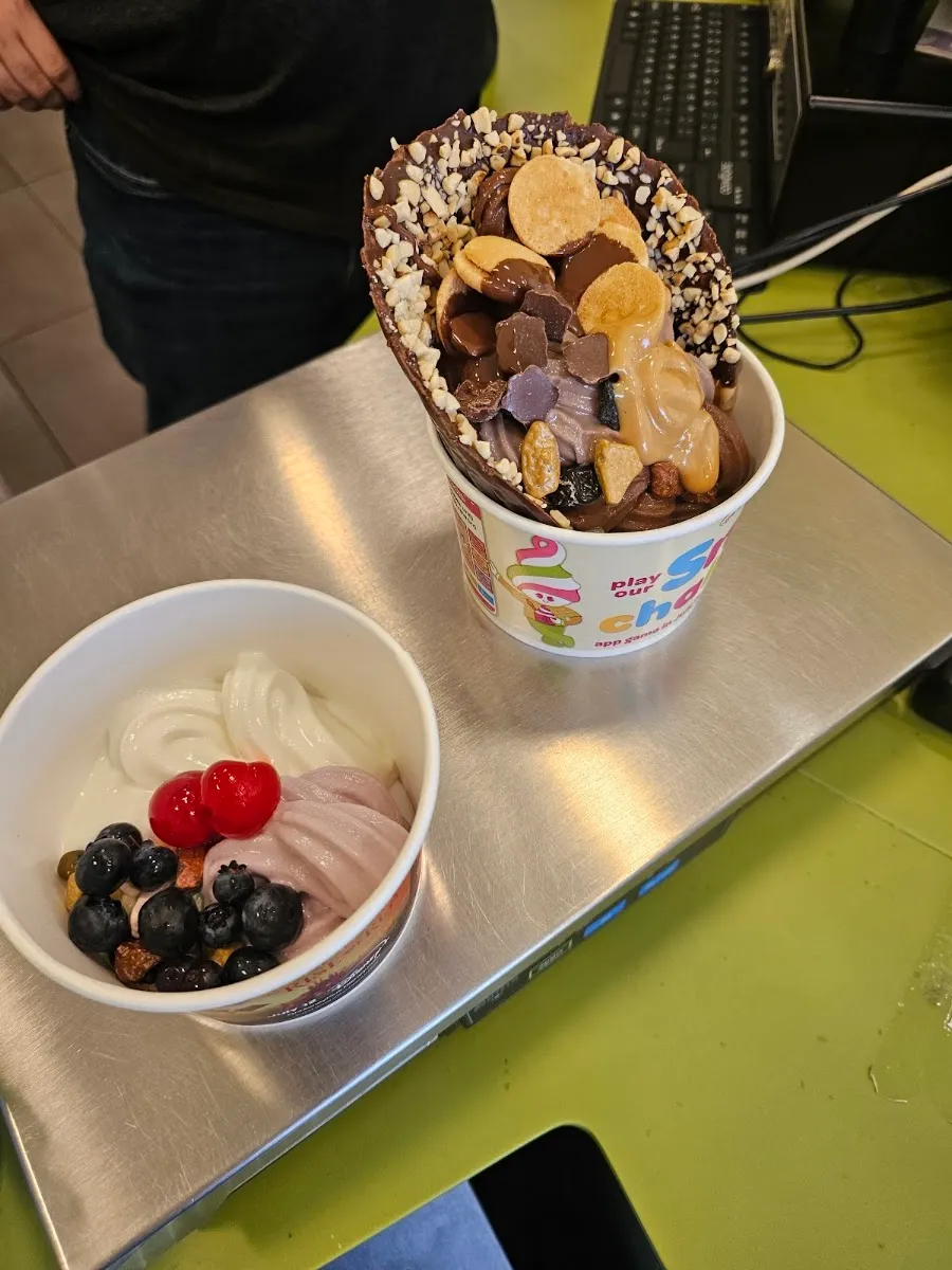 Menchie's Frozen Yogurt (Sam Houston Pkwy) — photo 4