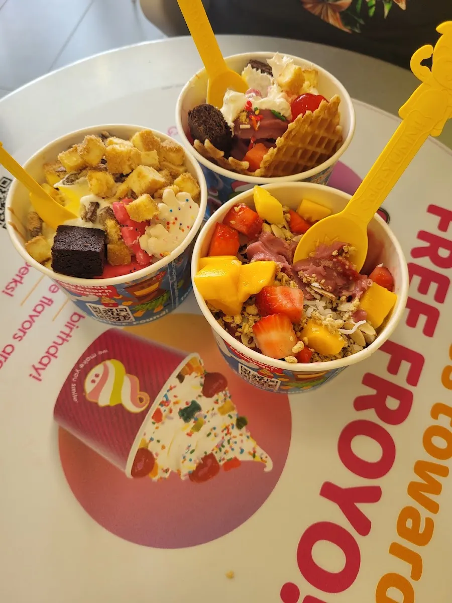 Menchie's Frozen Yogurt (Sam Houston Pkwy) — photo 6