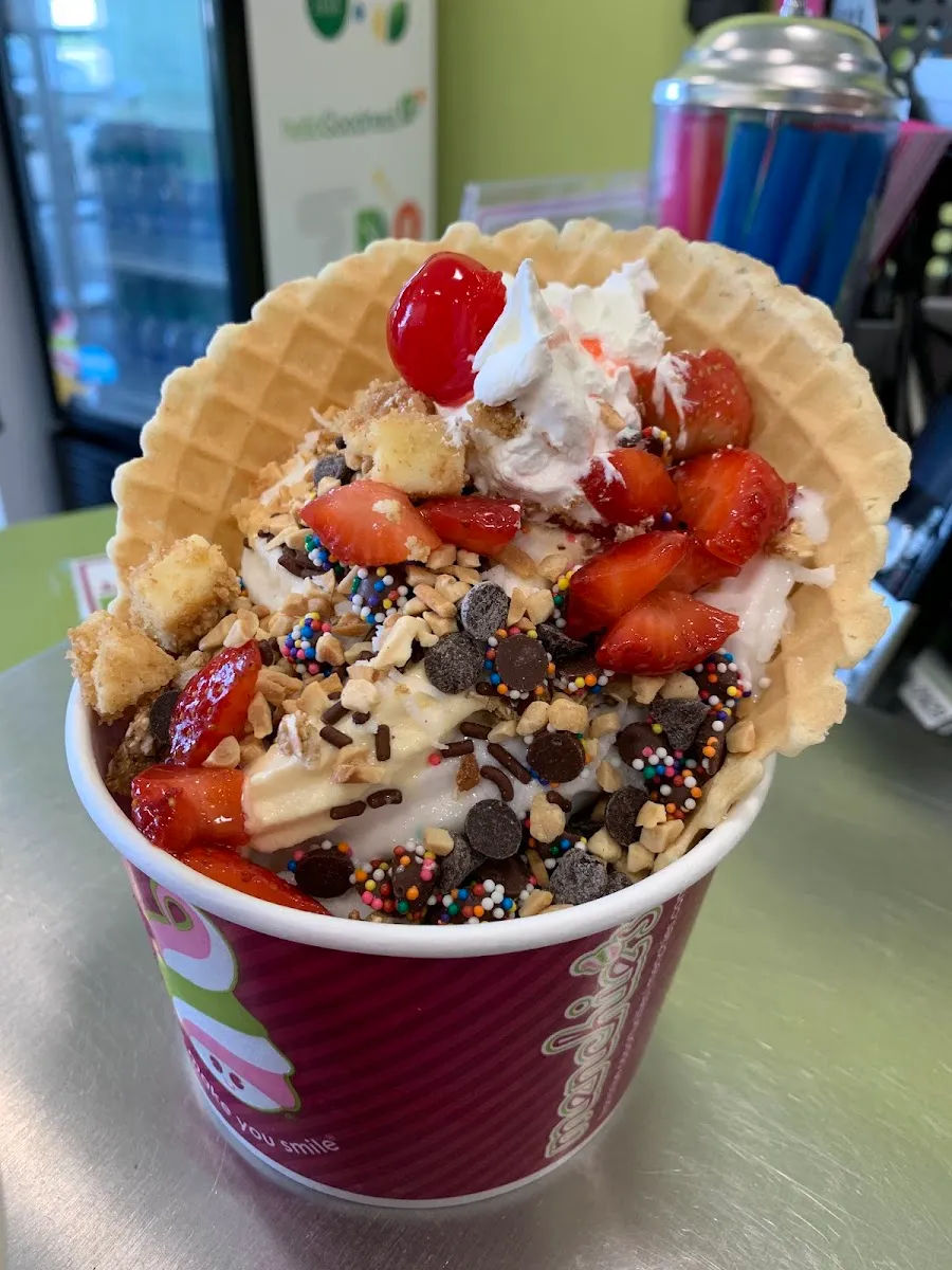 Menchie's Frozen Yogurt (Sam Houston Pkwy) — photo 7