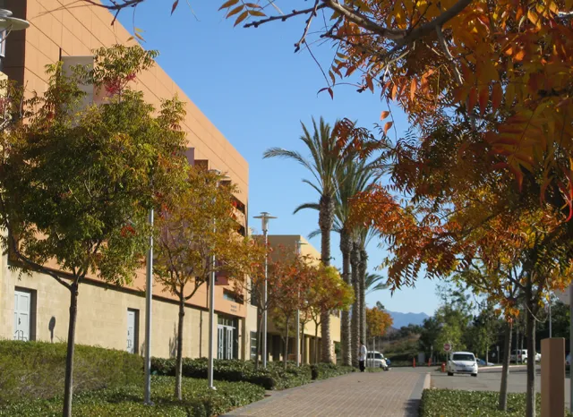 Merage Jewish Community Center of Orange County — foto 4