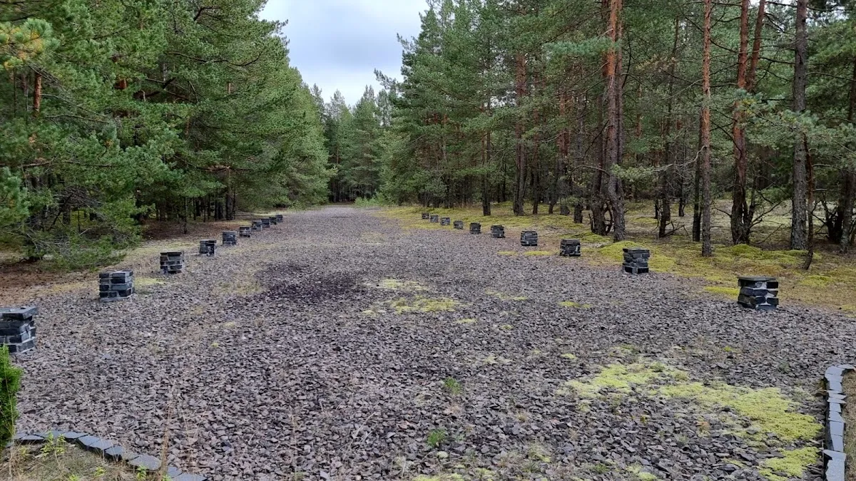Mežciems memorial to the Daugavpils Ghetto victims — foto 5