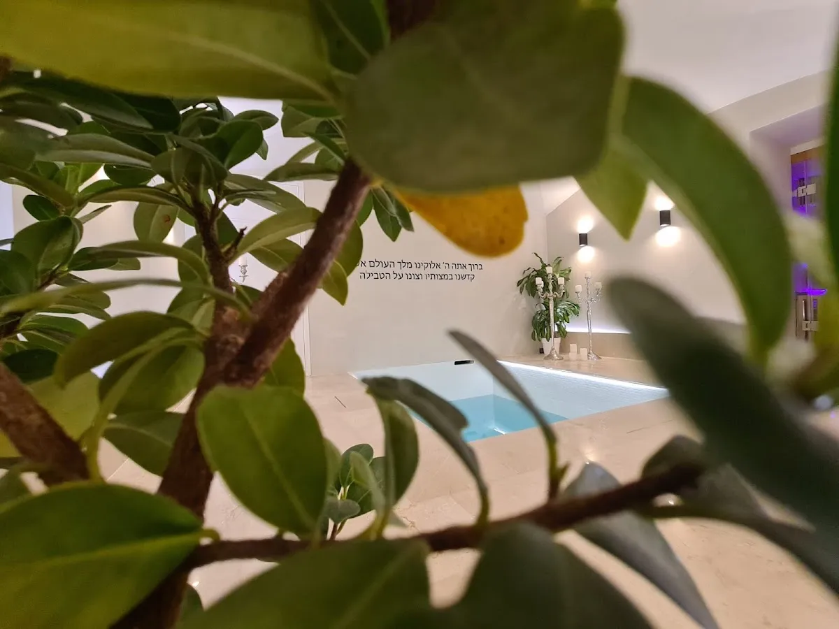 Mikve Cannes — foto 10