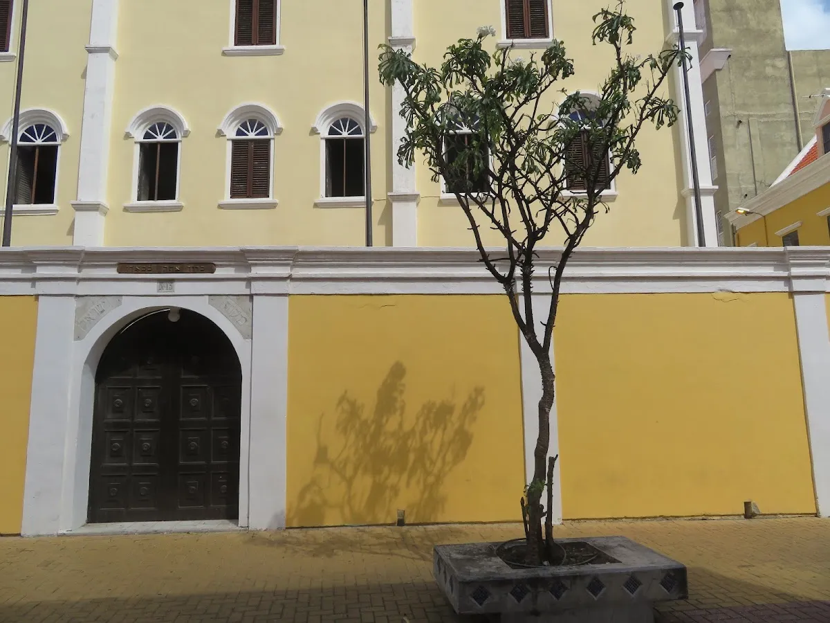 Mikvé Israel-Emanuel Synagogue (Snoa) — foto 7