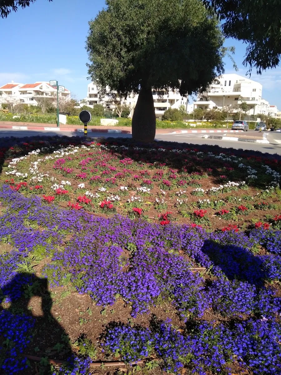 Mikve — photo 3