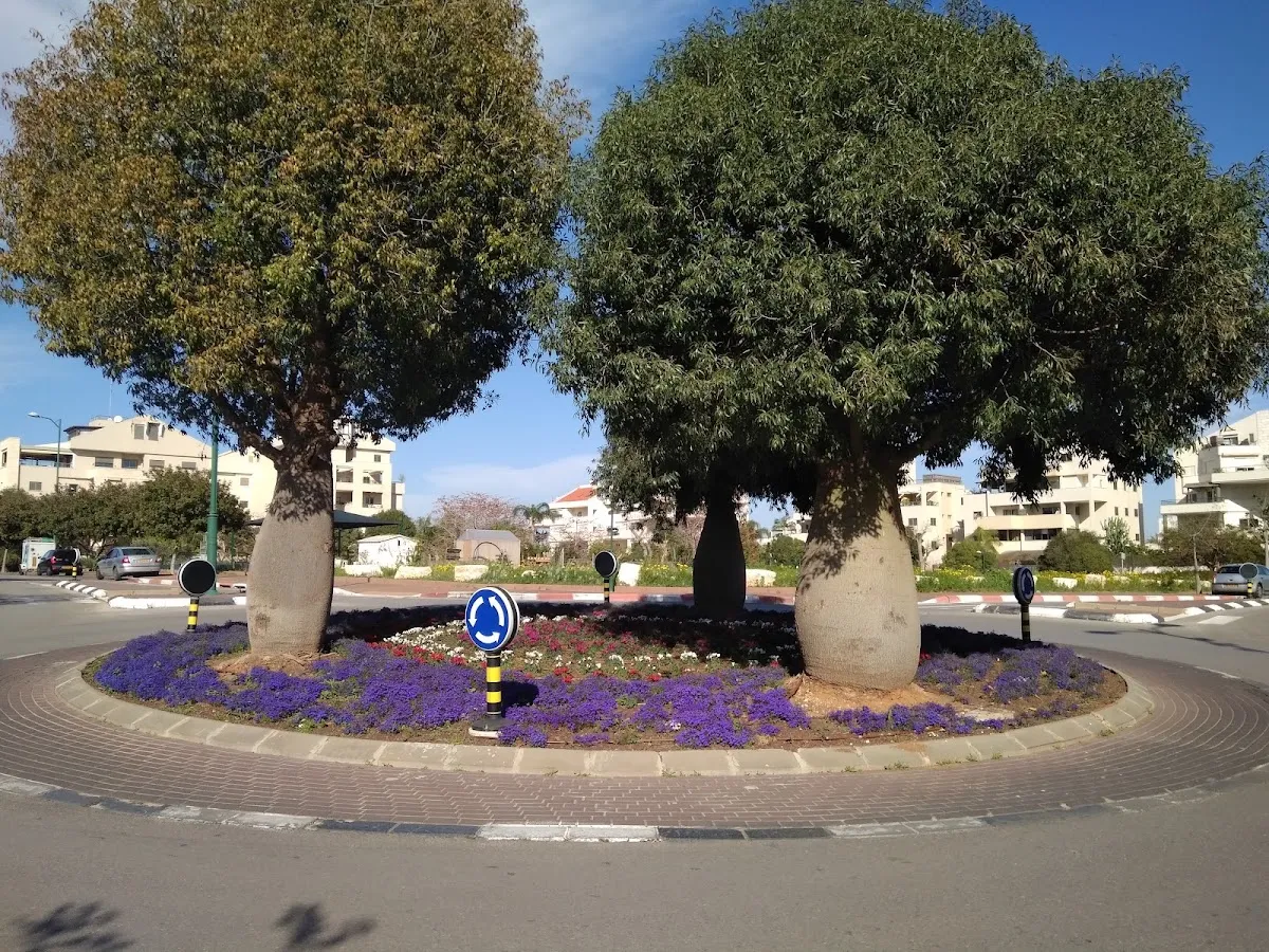 Mikve — photo 8