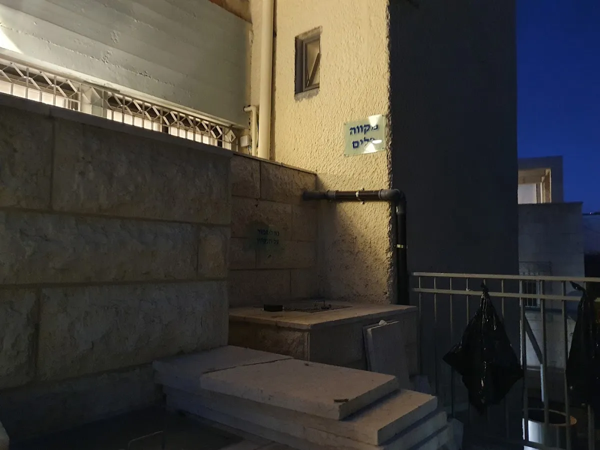 Mikveh (Florentin St 3) — foto 4