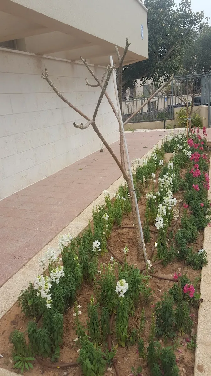 Mikveh Herzliya Pituach — foto 3