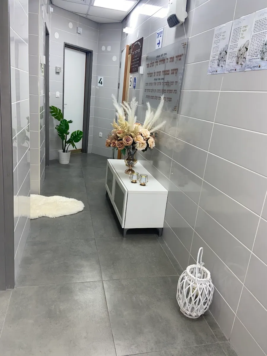 Mikveh Janet Neve Dekalim — foto 5
