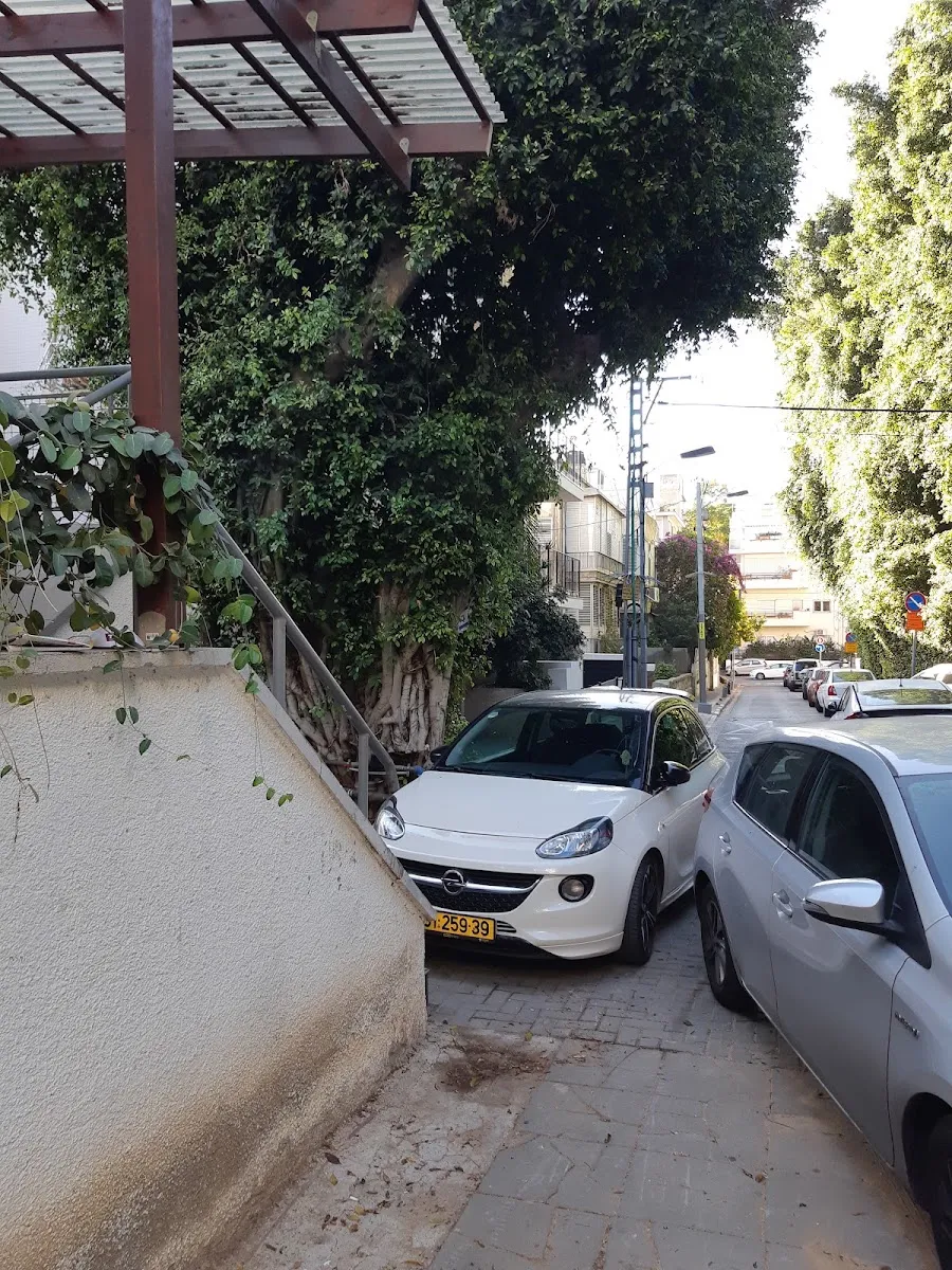 Mikveh Peki'in — foto 8