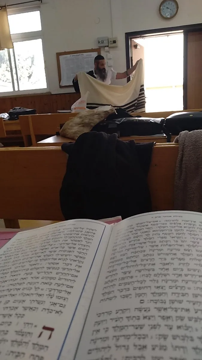 Mishkan Menachem Synagogue — foto 6