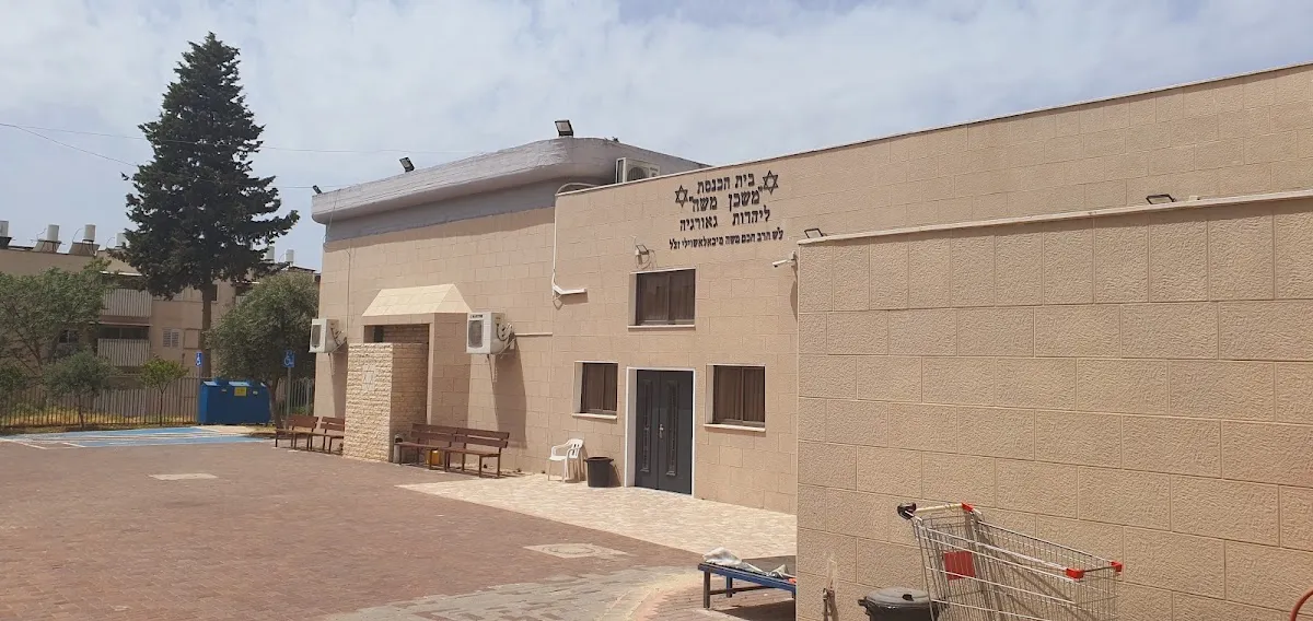 Mishkan Moshe Georgian Synagogue (Rabbi Moshe Michaelashvili) — foto 4