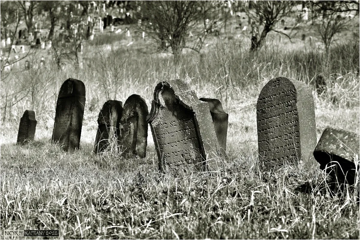 Miskolci zsidó temető — foto 4