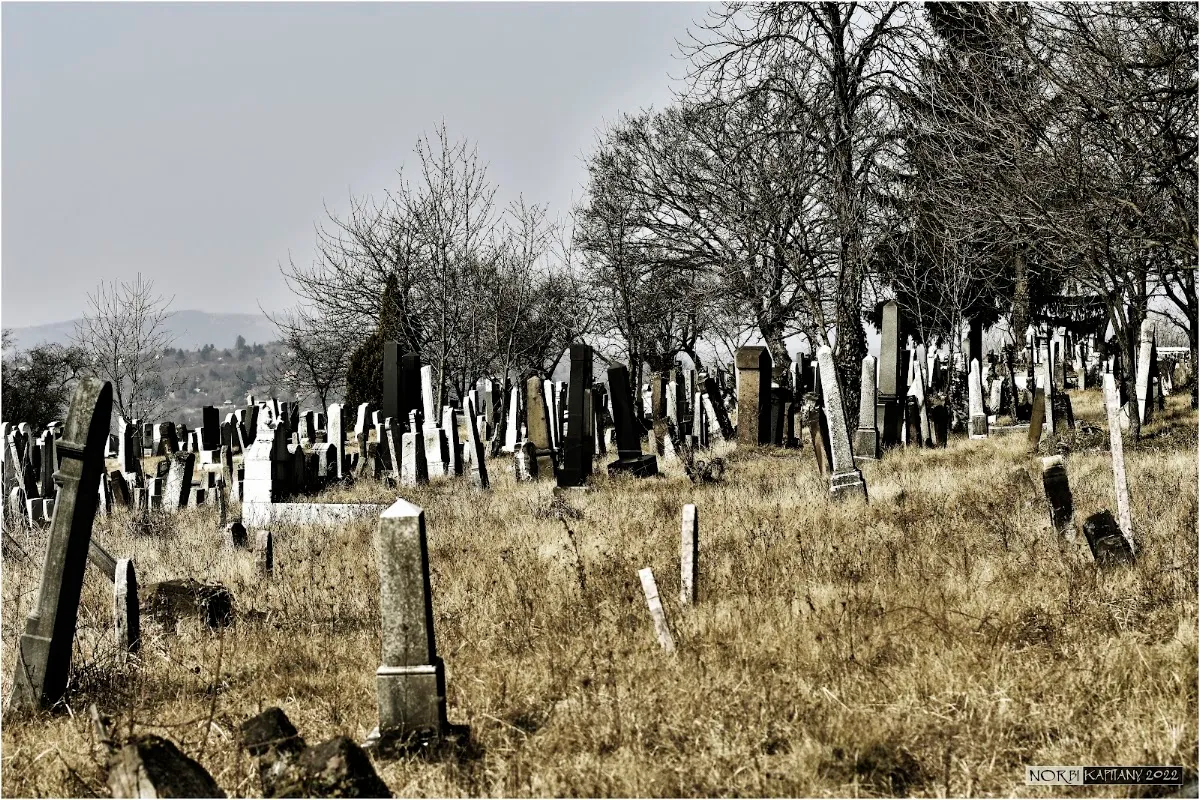 Miskolci zsidó temető — foto 9