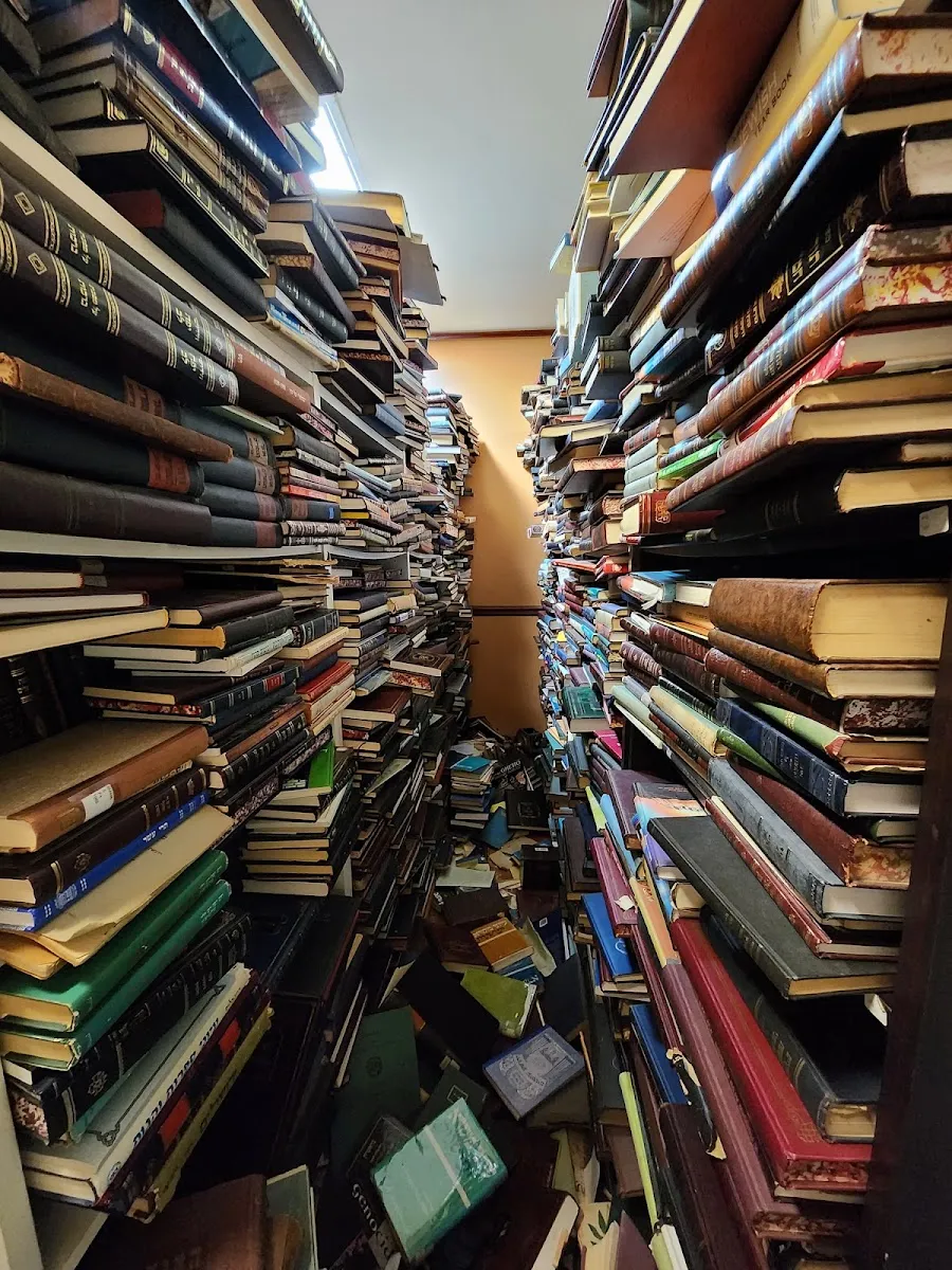 Mizrahi Book Store — photo 8