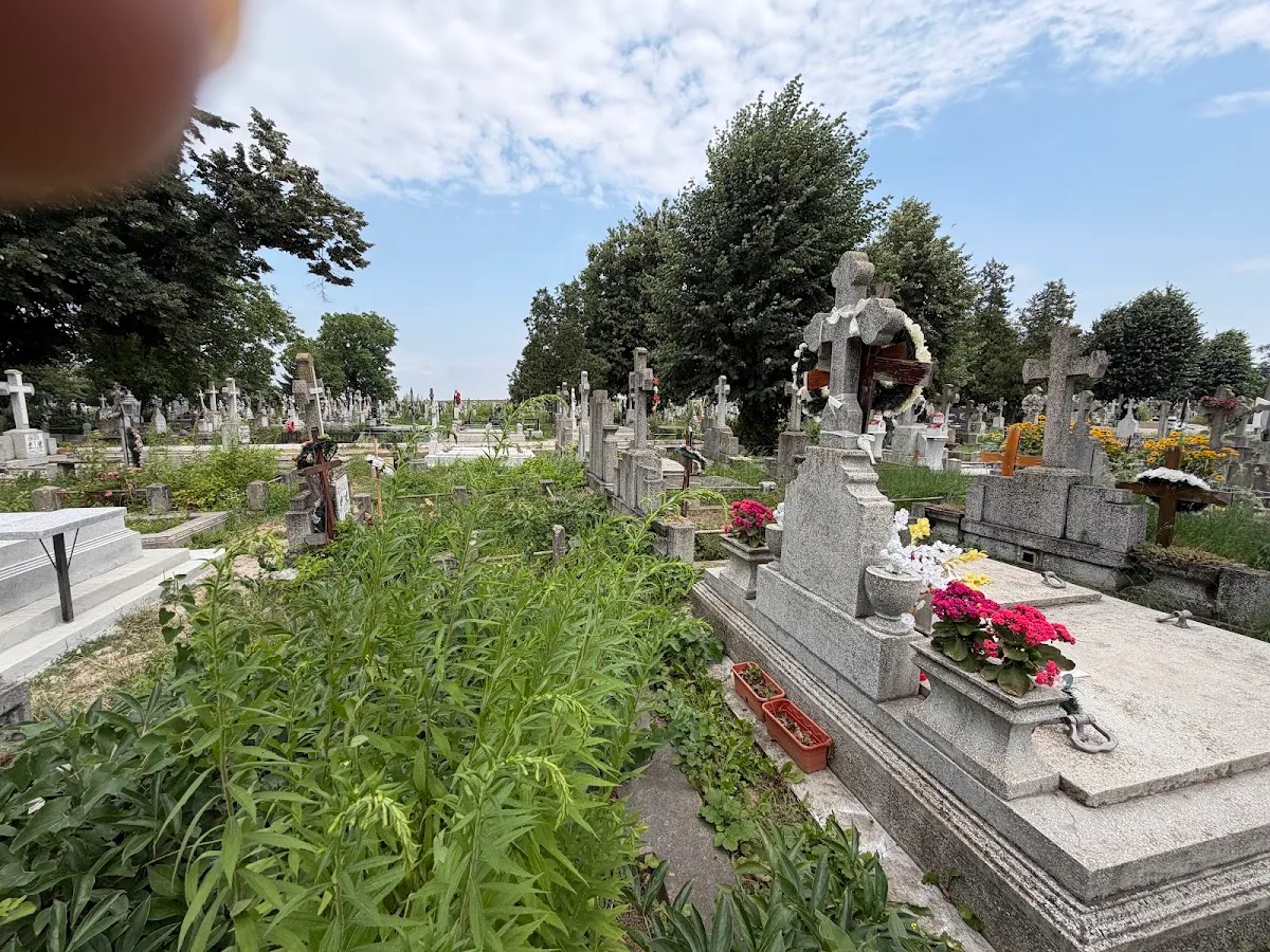 Modern Israelite Cemetery — foto 4