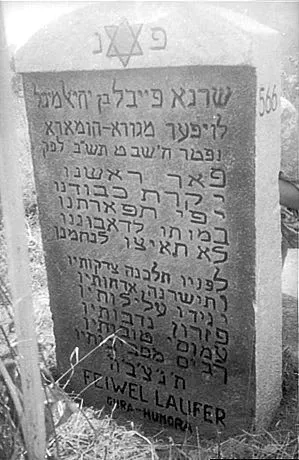 Mogilev Jewish Cemetery — foto 7