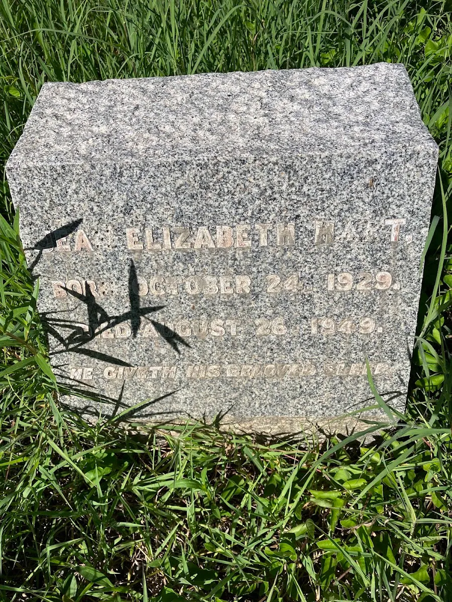 Montego Bay Old Jewish Cemetery — foto 3