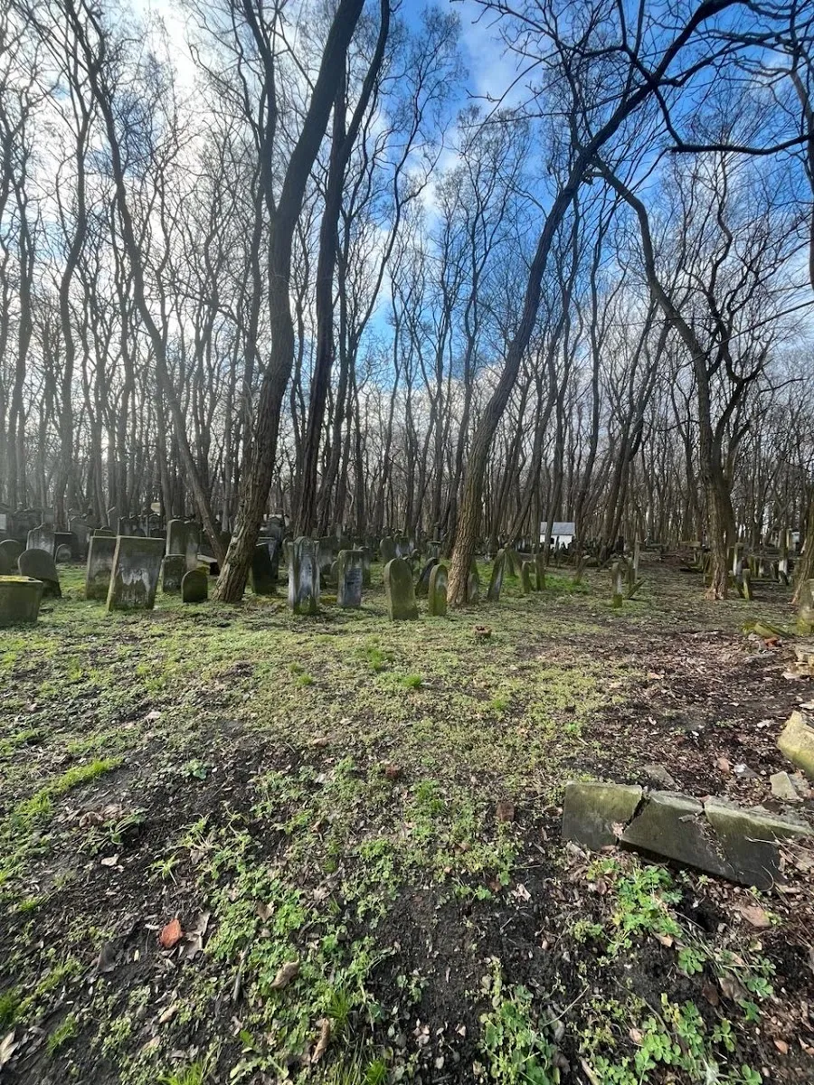 Pomnik Dzieci Ofiar Holokaustu — foto 3