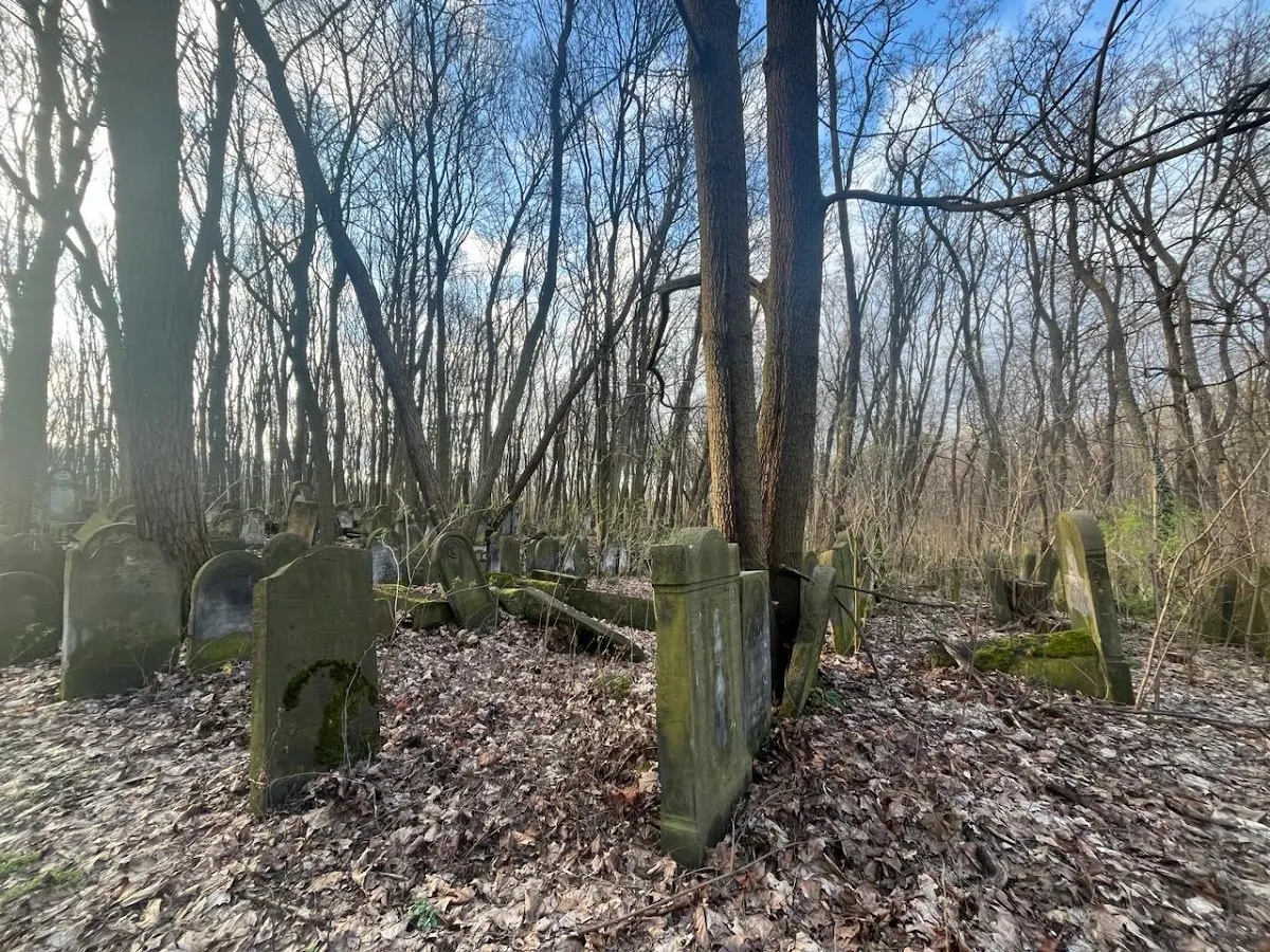 Pomnik Dzieci Ofiar Holokaustu — foto 5
