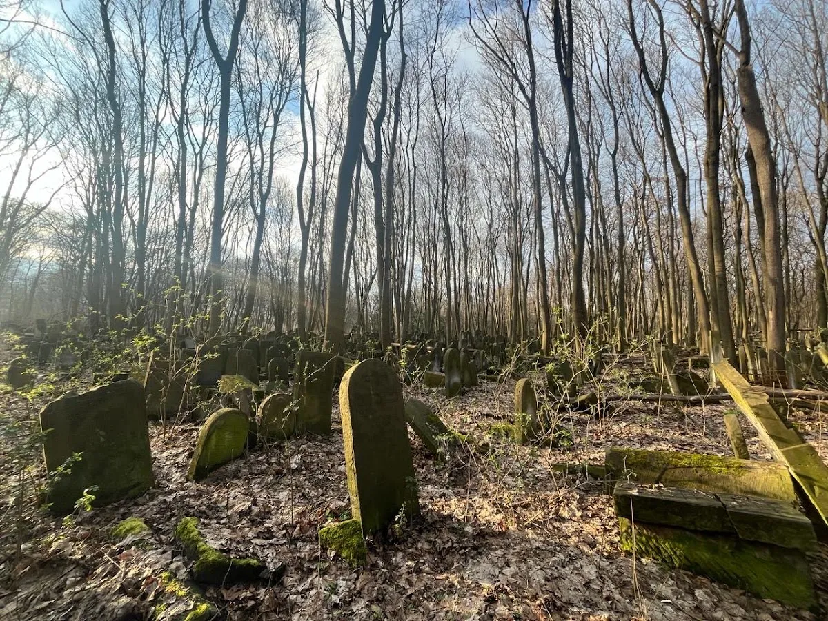 Pomnik Dzieci Ofiar Holokaustu — foto 10
