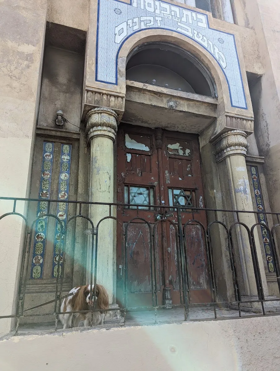 Moshav Zkenim Synagogue — foto 9