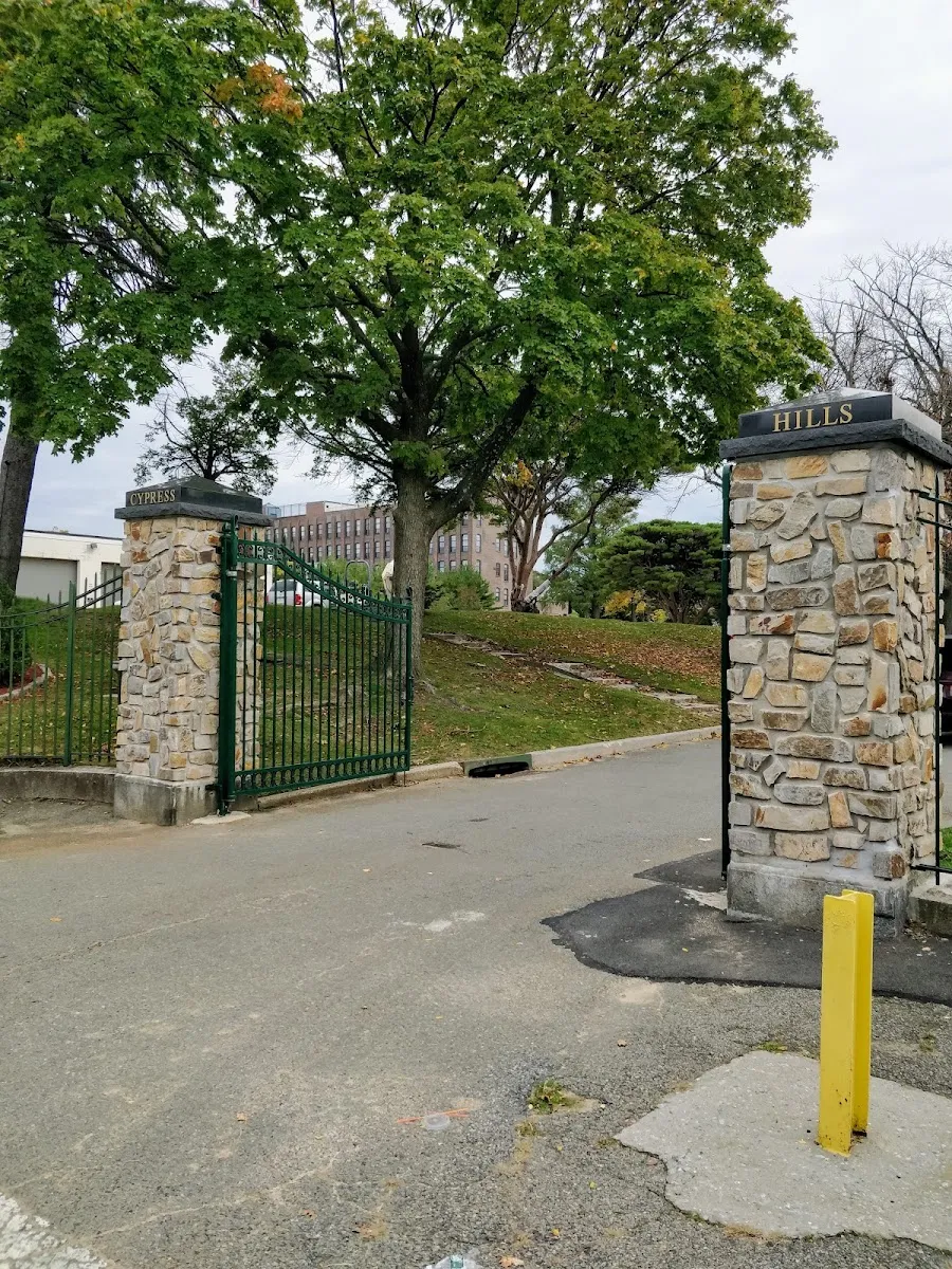 Mount Carmel Cemetery — foto 4
