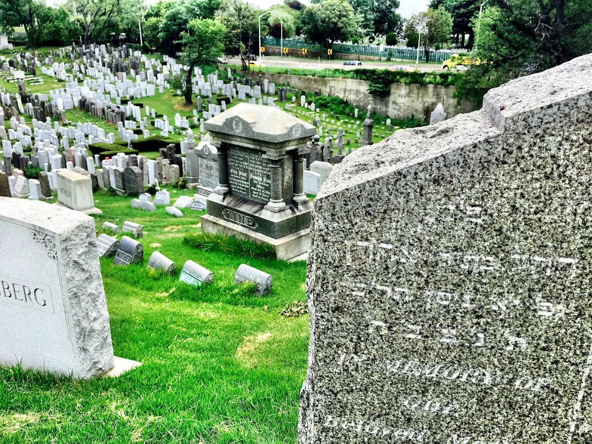 Mount Carmel Cemetery — foto 9