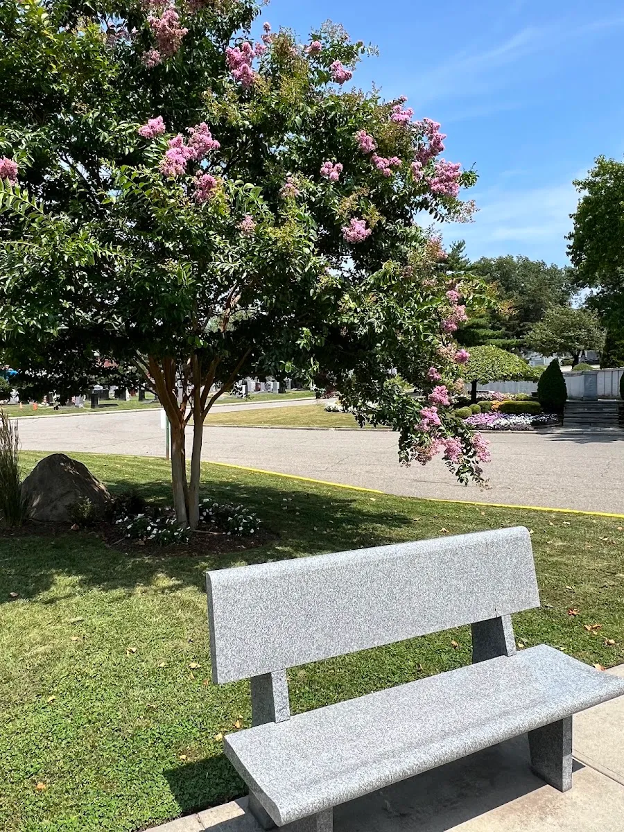 Mount Hebron Cemetery — photo 8