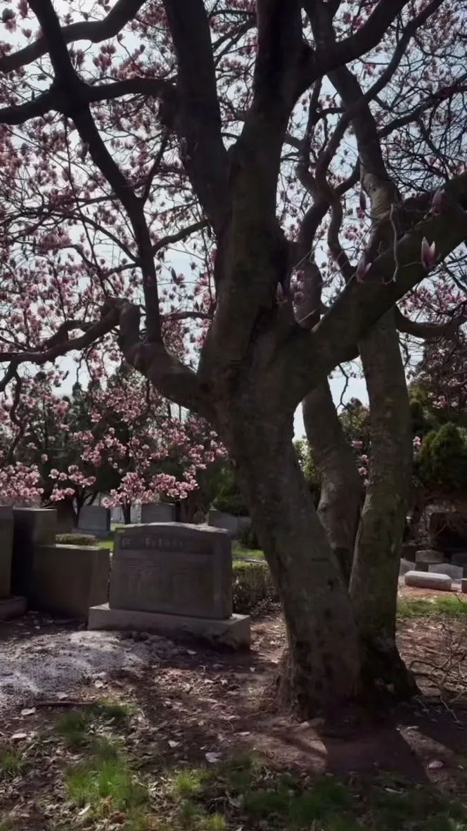 Mount Lebanon Cemetery — foto 3
