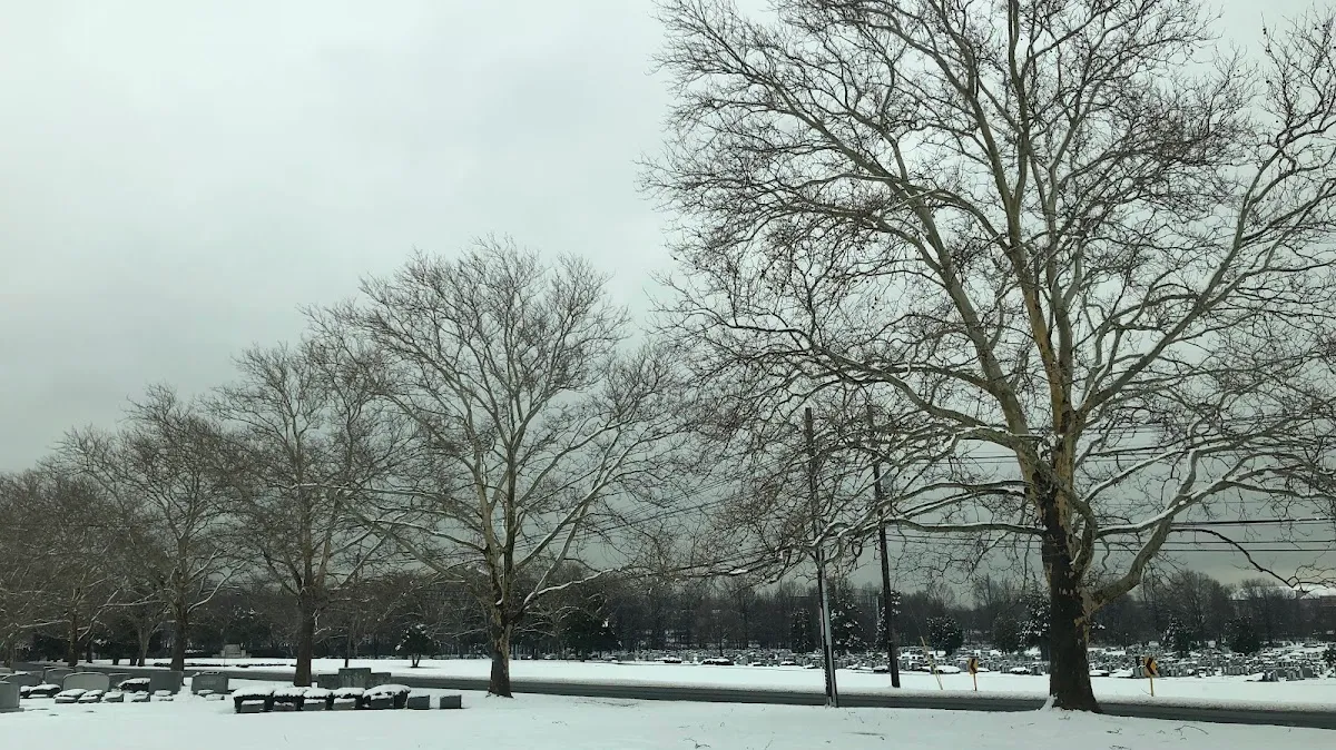 Mount Lebanon Cemetery — foto 6