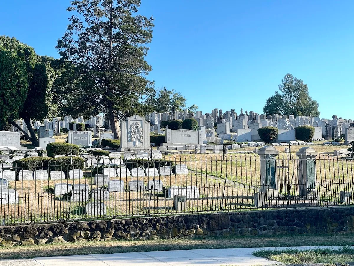 Mount Lebanon Cemetery — photo 7