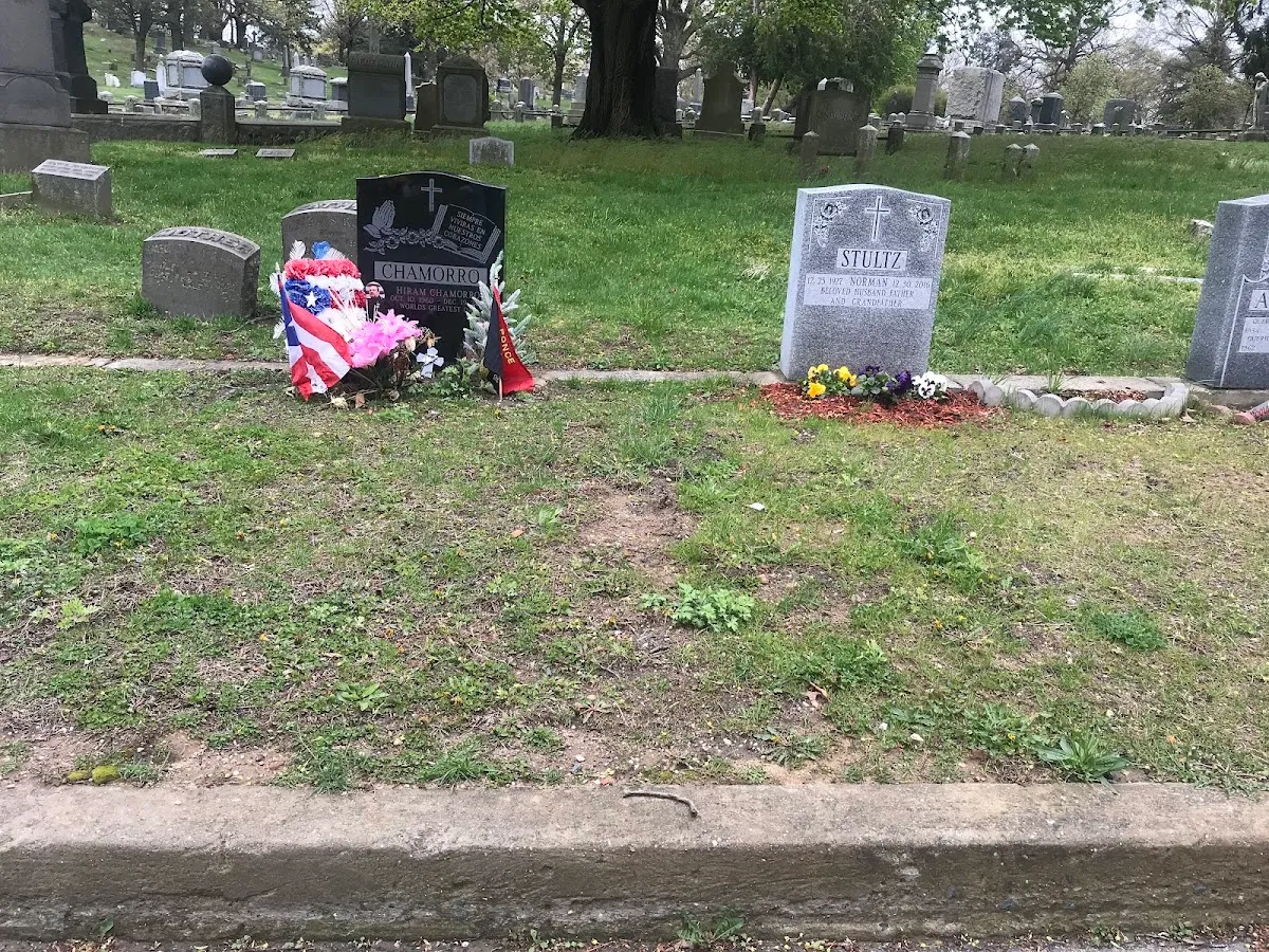 Mount Neboh Cemetery