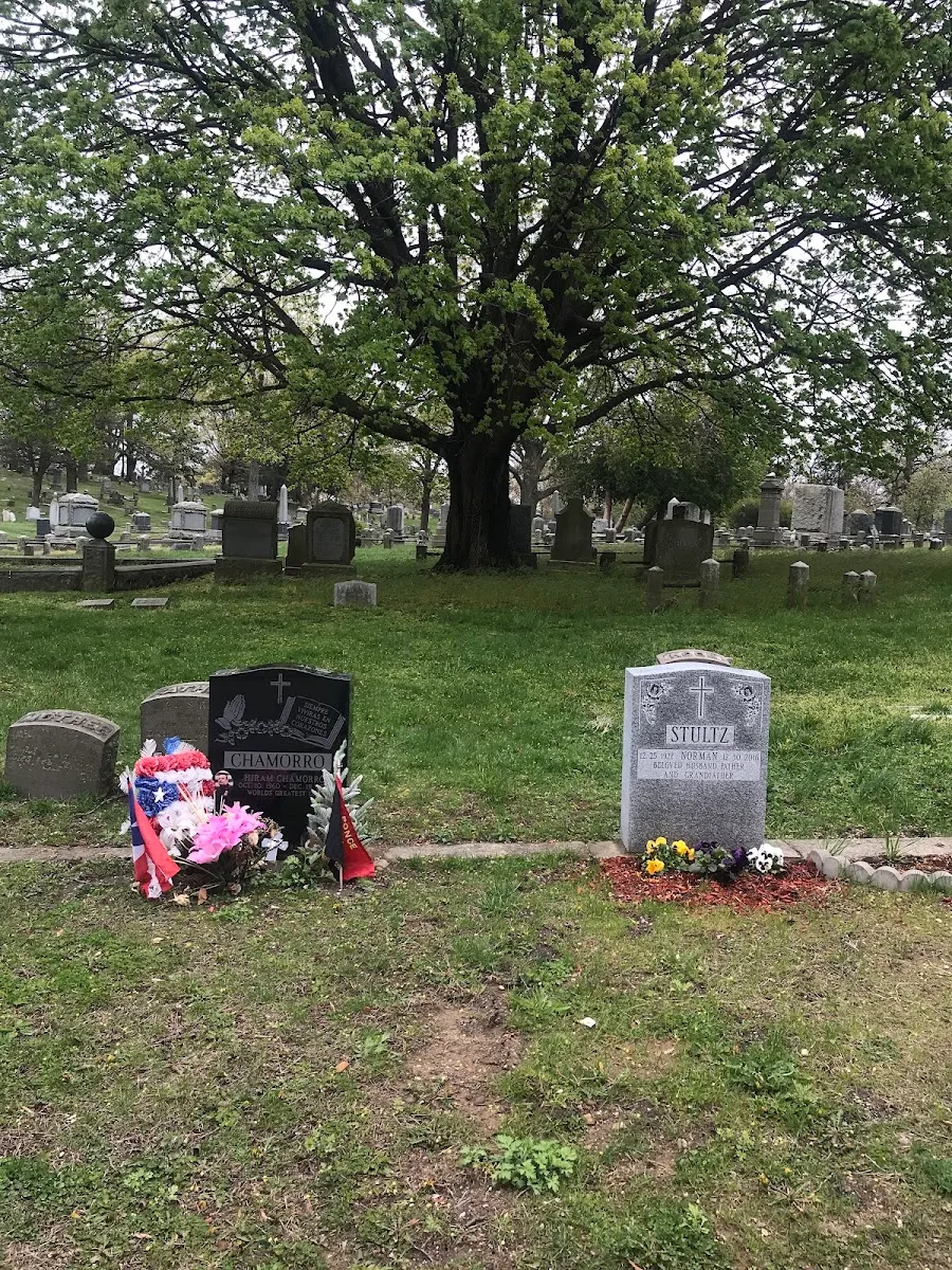 Mount Neboh Cemetery — photo 2