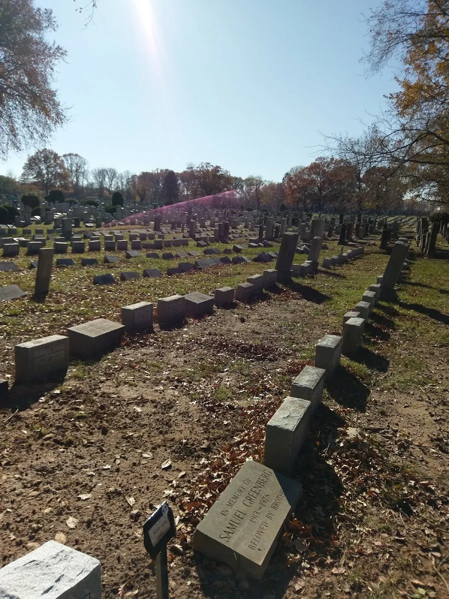 Mount Richmond Cemetery — photo 5