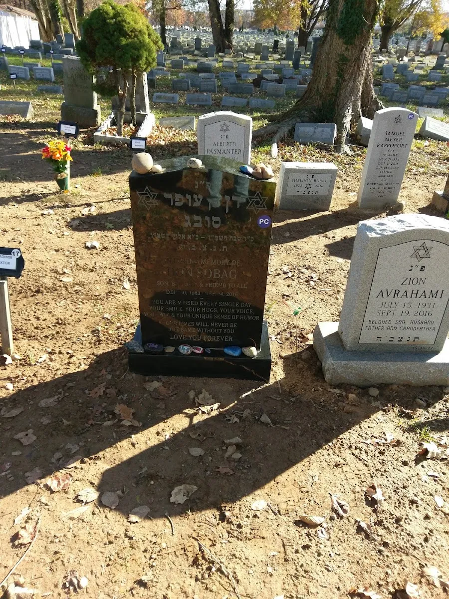 Mount Richmond Cemetery — photo 7