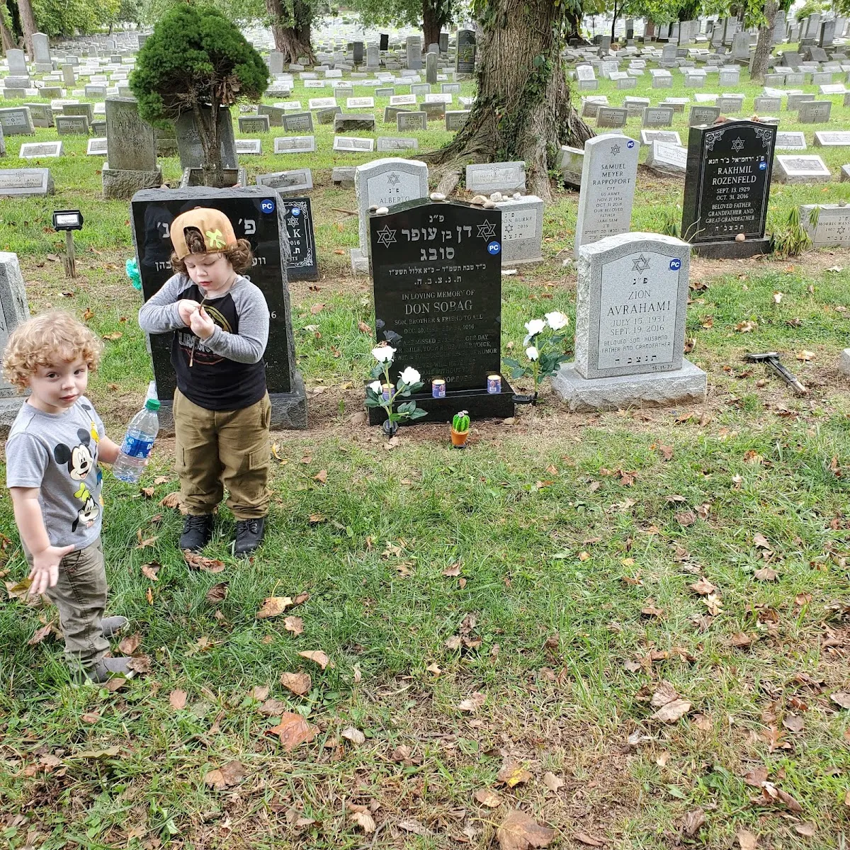 Mount Richmond Cemetery — photo 8