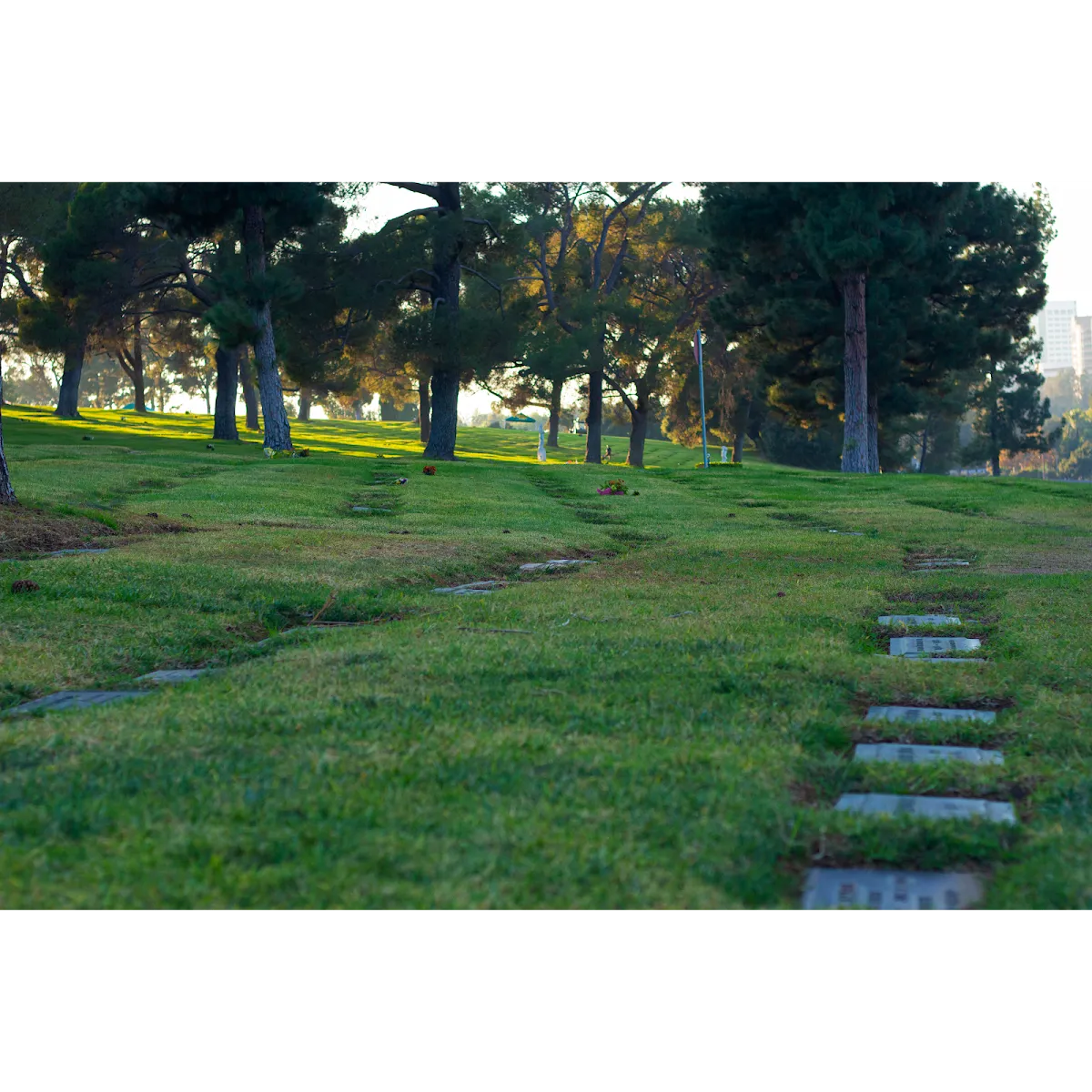 Mount Sinai Memorial Park and Mortuaries — photo 8
