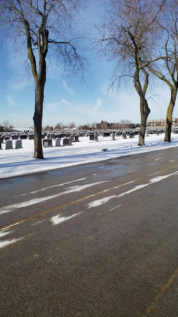 Mount Sinai Memorial Park — foto 2