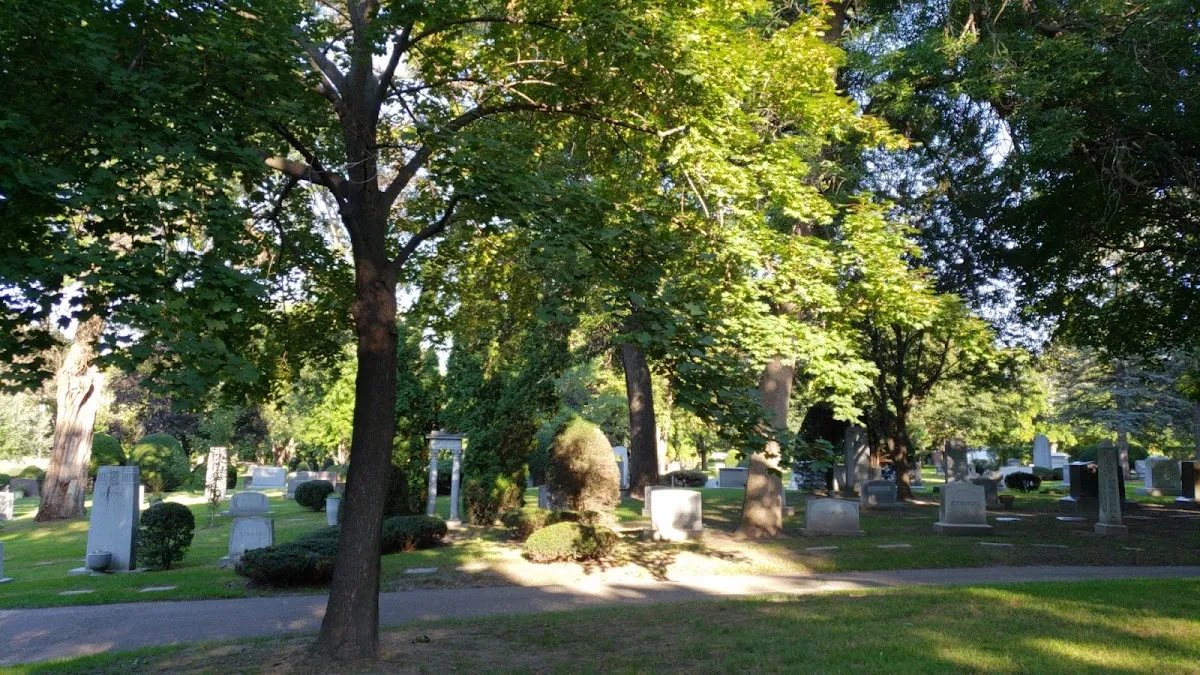 Mount Zion Cemetery — foto 5