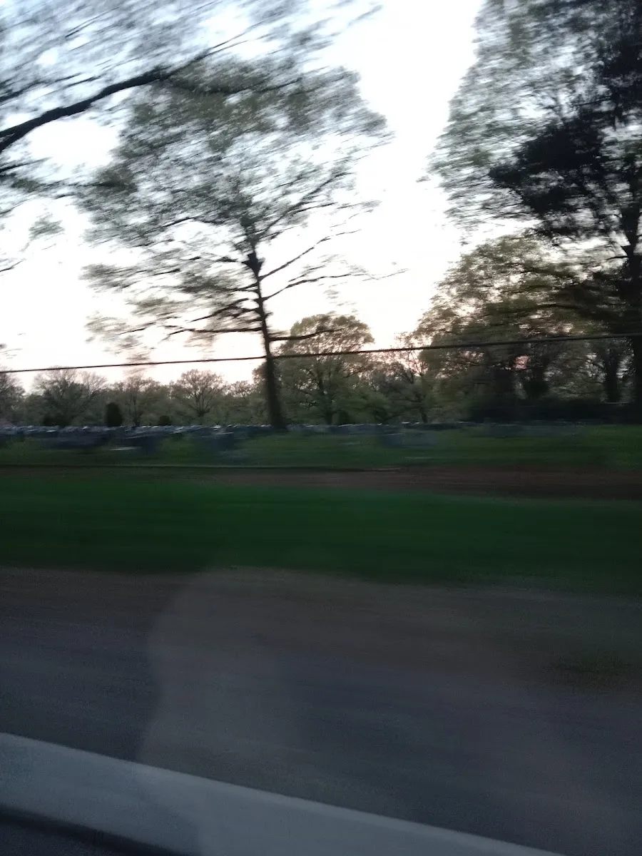 Mt Judah Cemetery — foto 10
