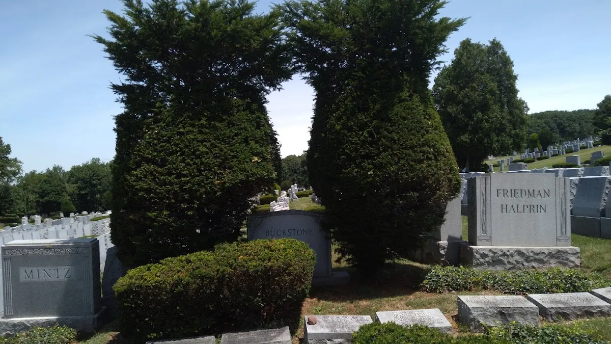 Mt. Moriah Cemetery Jewish — photo 2