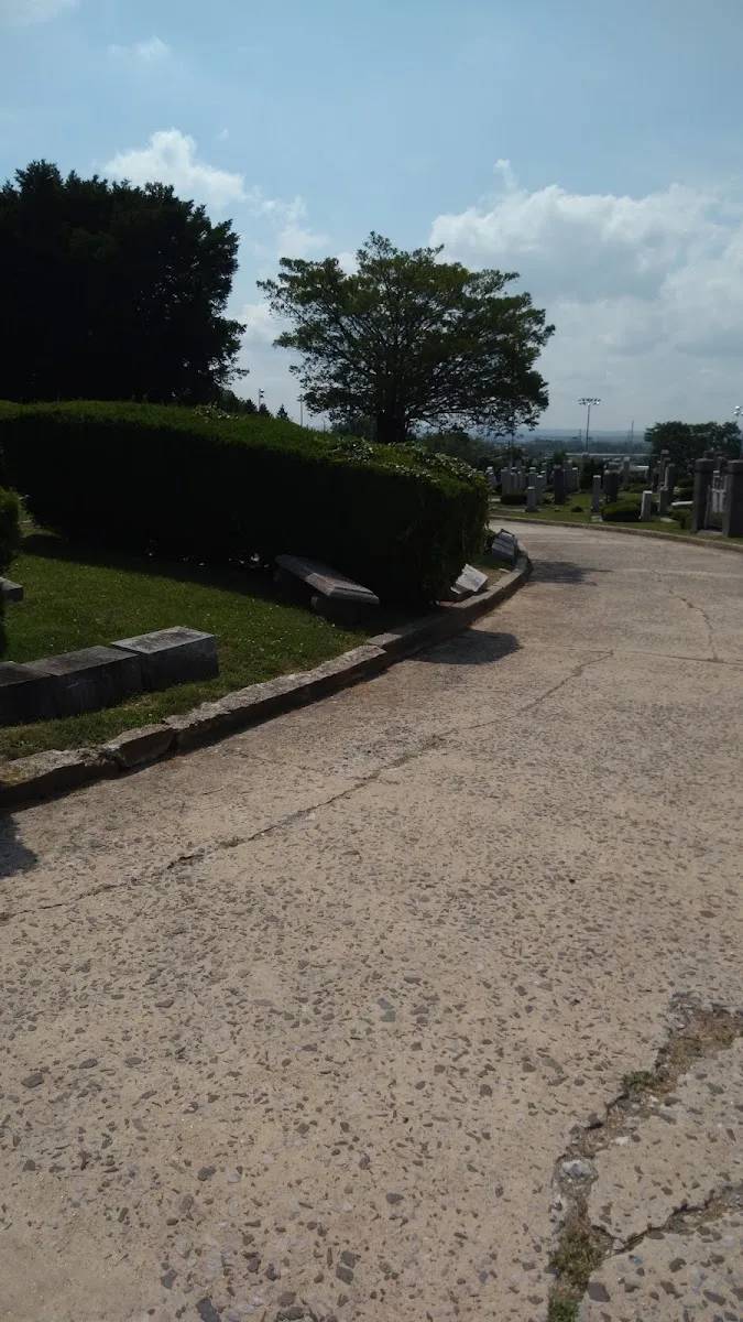 Mt. Moriah Cemetery Jewish — photo 4