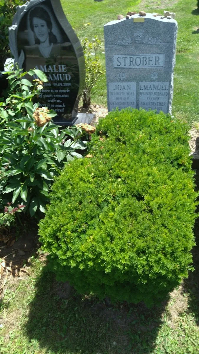Mt. Moriah Cemetery Jewish — photo 6