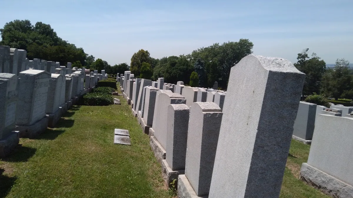 Mt. Moriah Cemetery Jewish — photo 7