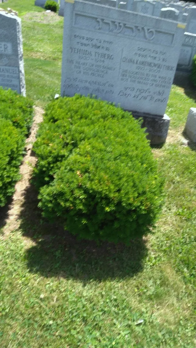 Mt. Moriah Cemetery Jewish — photo 8