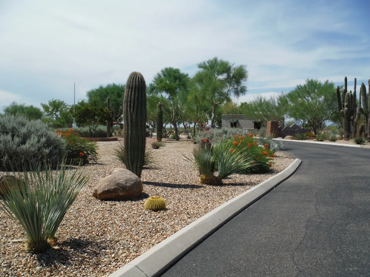 Mt Sinai Cemetery — foto 3